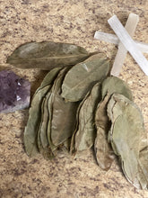 Load image into Gallery viewer, SourSop Leaves
